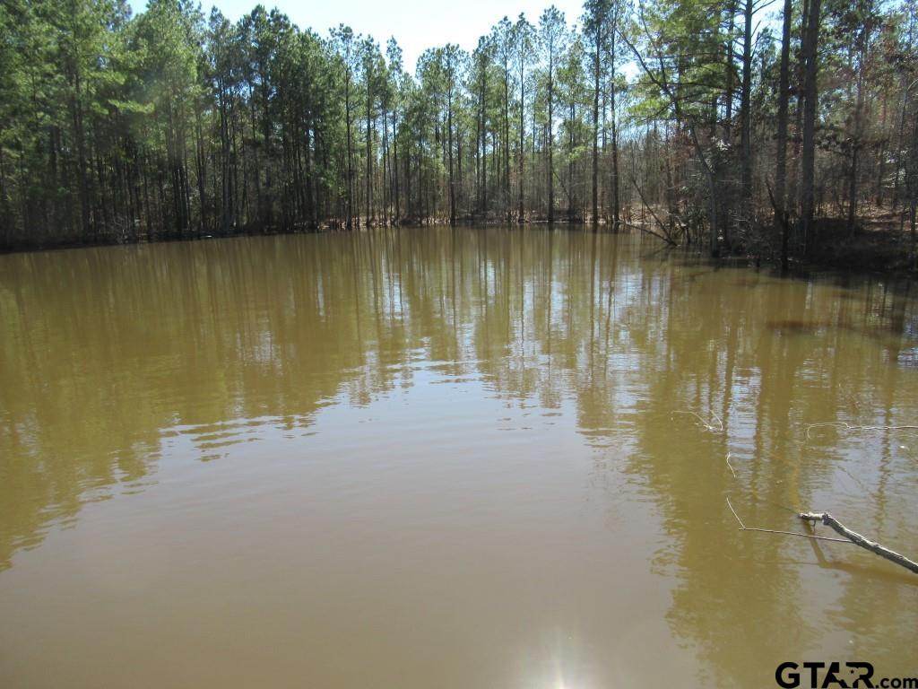105.4 C Highway Reklaw, TX 75784 - Photo 12 of 43