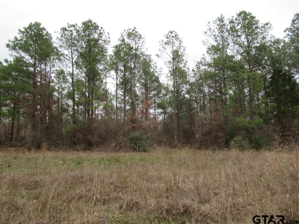 105.4 C Highway Reklaw, TX 75784 - Photo 23 of 43