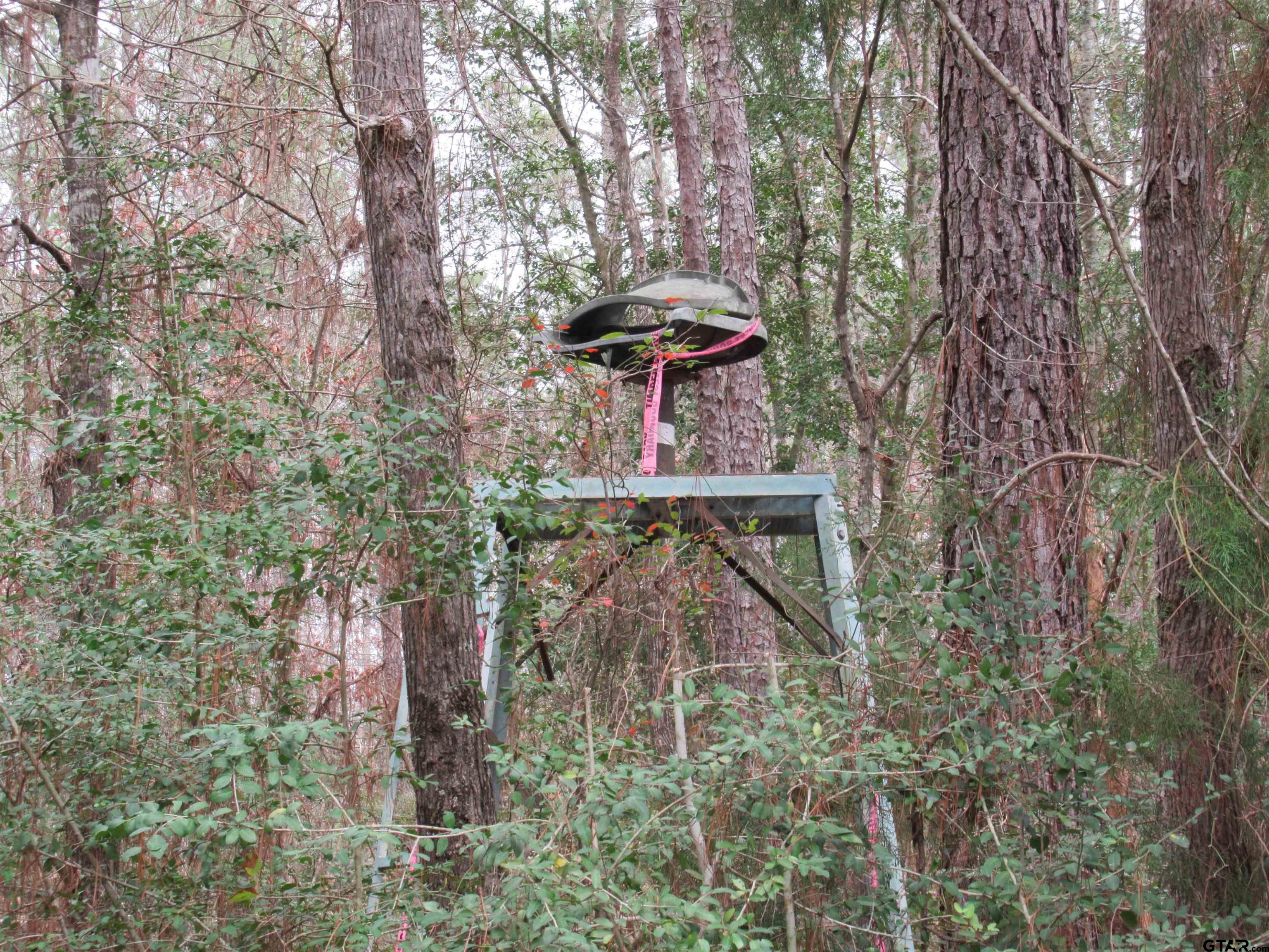 105.4 C Highway Reklaw, TX 75784 - Photo 27 of 43