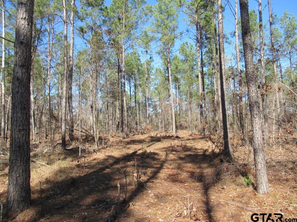 105.4 C Highway Reklaw, TX 75784 - Photo 31 of 43