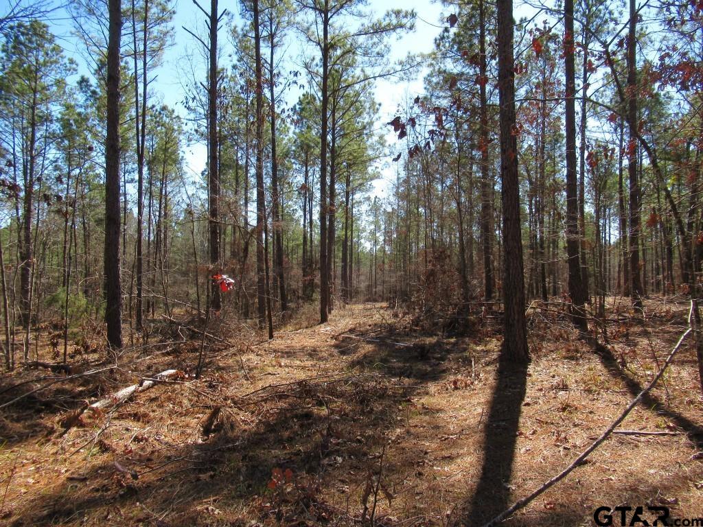 105.4 C Highway Reklaw, TX 75784 - Photo 33 of 43
