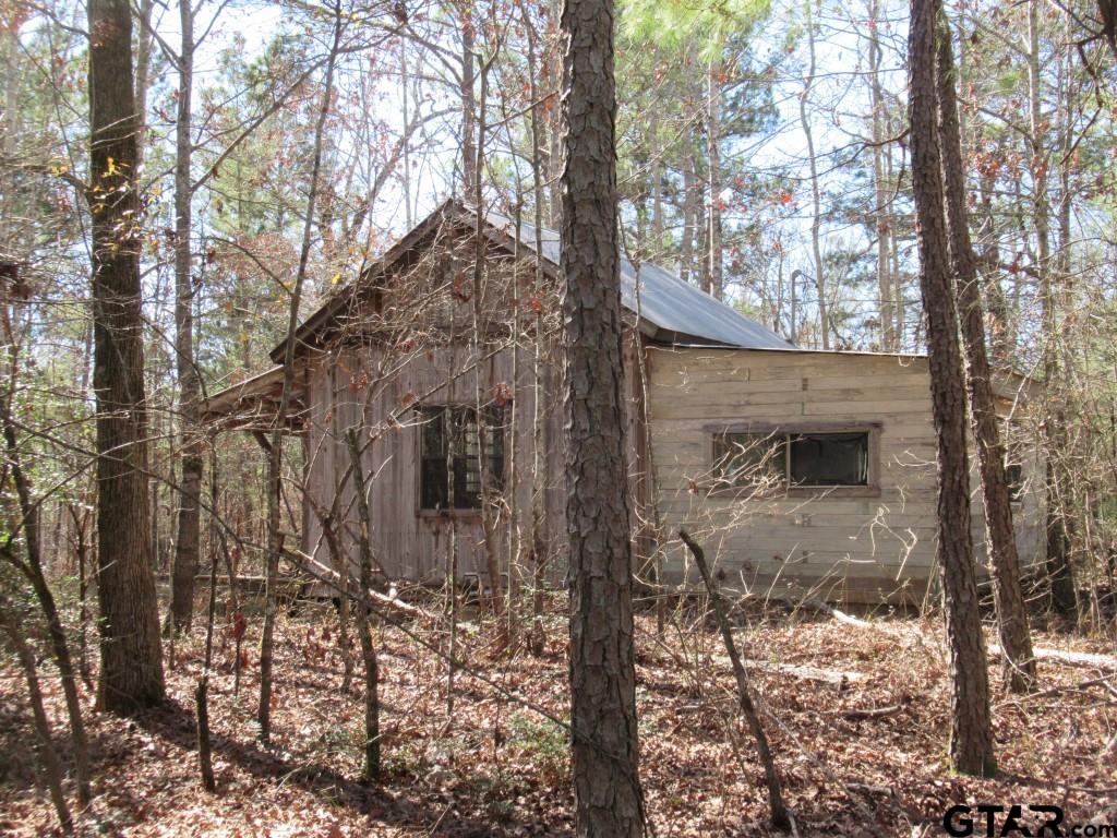 105.4 C Highway Reklaw, TX 75784 - Photo 34 of 43