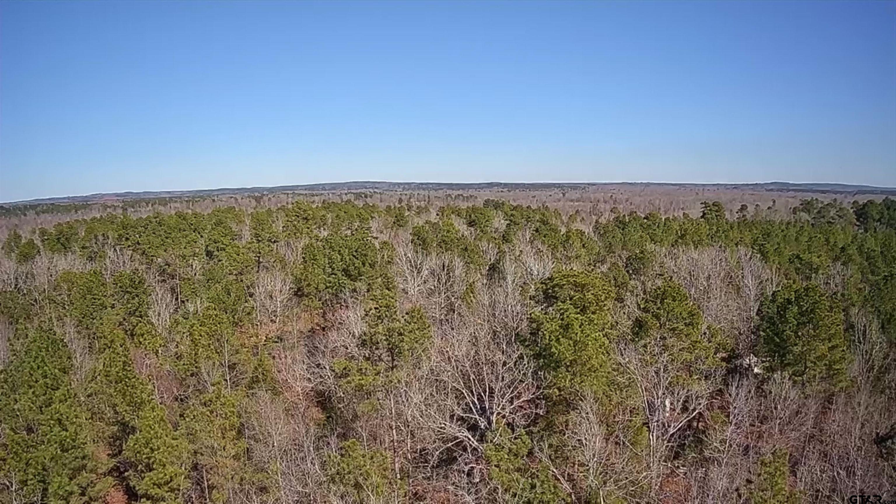 105.4 C Highway Reklaw, TX 75784 - Photo 4 of 43