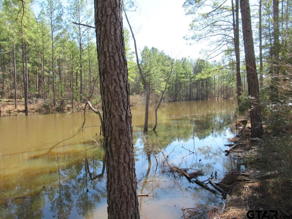 105.4 C Highway Reklaw, TX 75784 - Photo 41 of 43