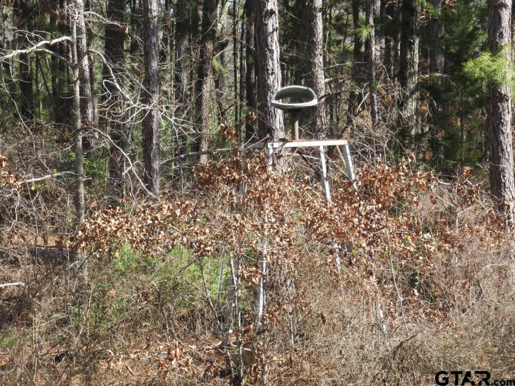 105.4 C Highway Reklaw, TX 75784 - Photo 42 of 43