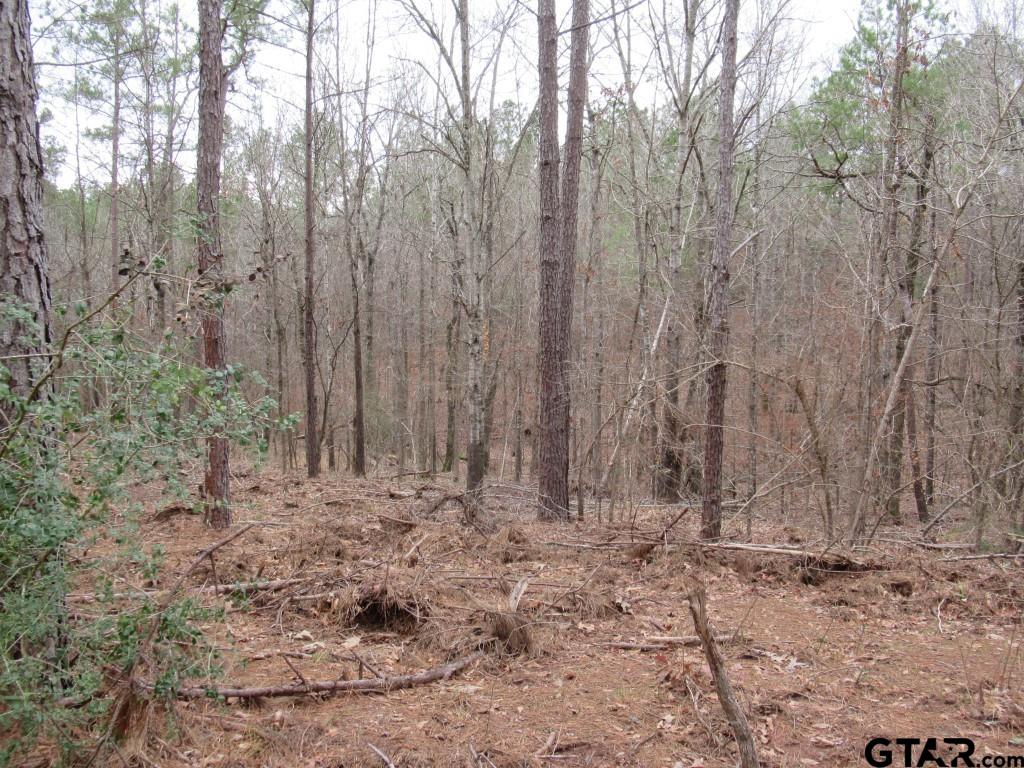 105.4 C Highway Reklaw, TX 75784 - Photo 6 of 43