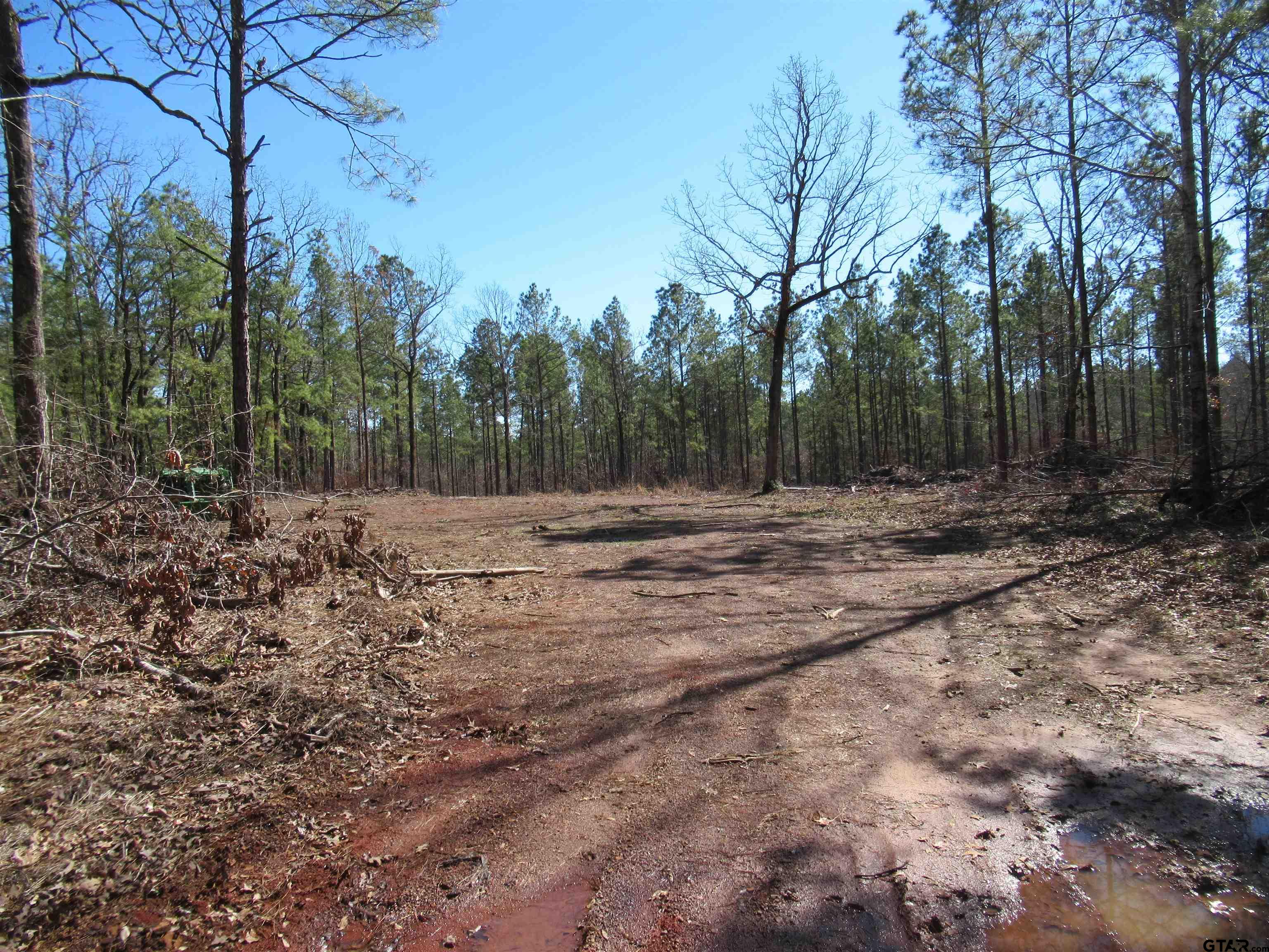 105.4 C Highway Reklaw, TX 75784 - Photo 7 of 43