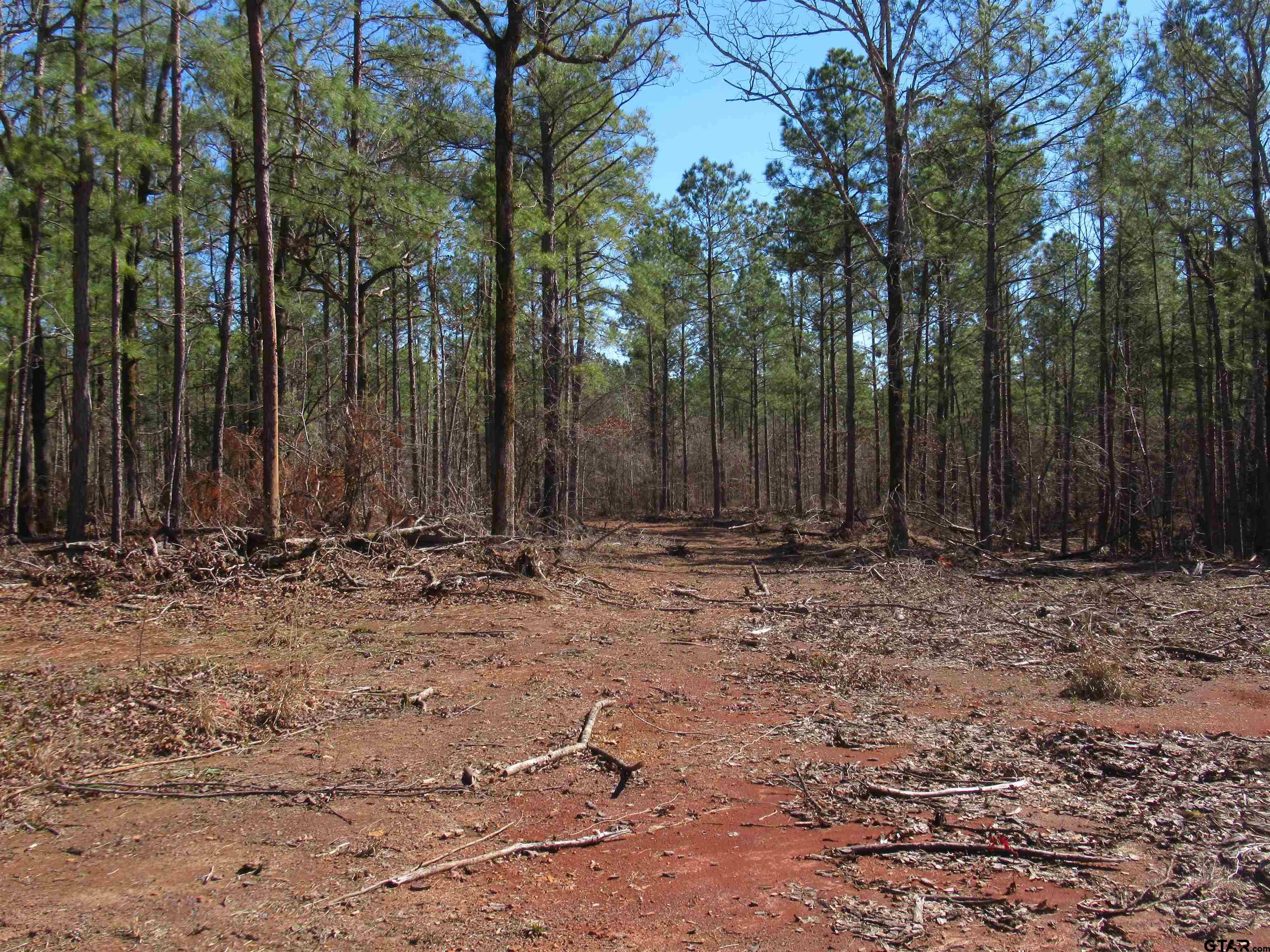 105.4 C Highway Reklaw, TX 75784 - Photo 8 of 43