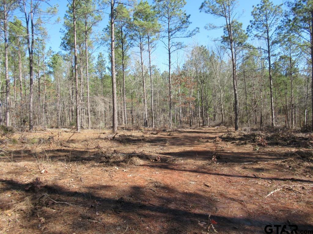 105.4 C Highway Reklaw, TX 75784 - Photo 9 of 43