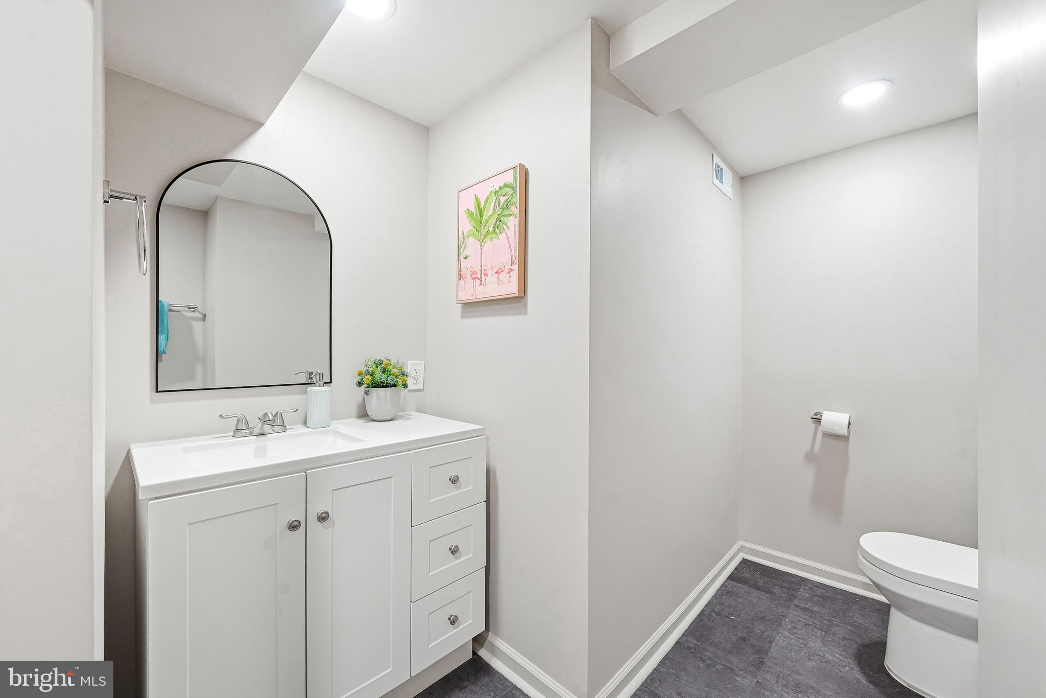 270 Jug Hollow Road Phoenixville, PA 19460 - Photo 47 of 59 a bathroom with a sink a toilet and mirror