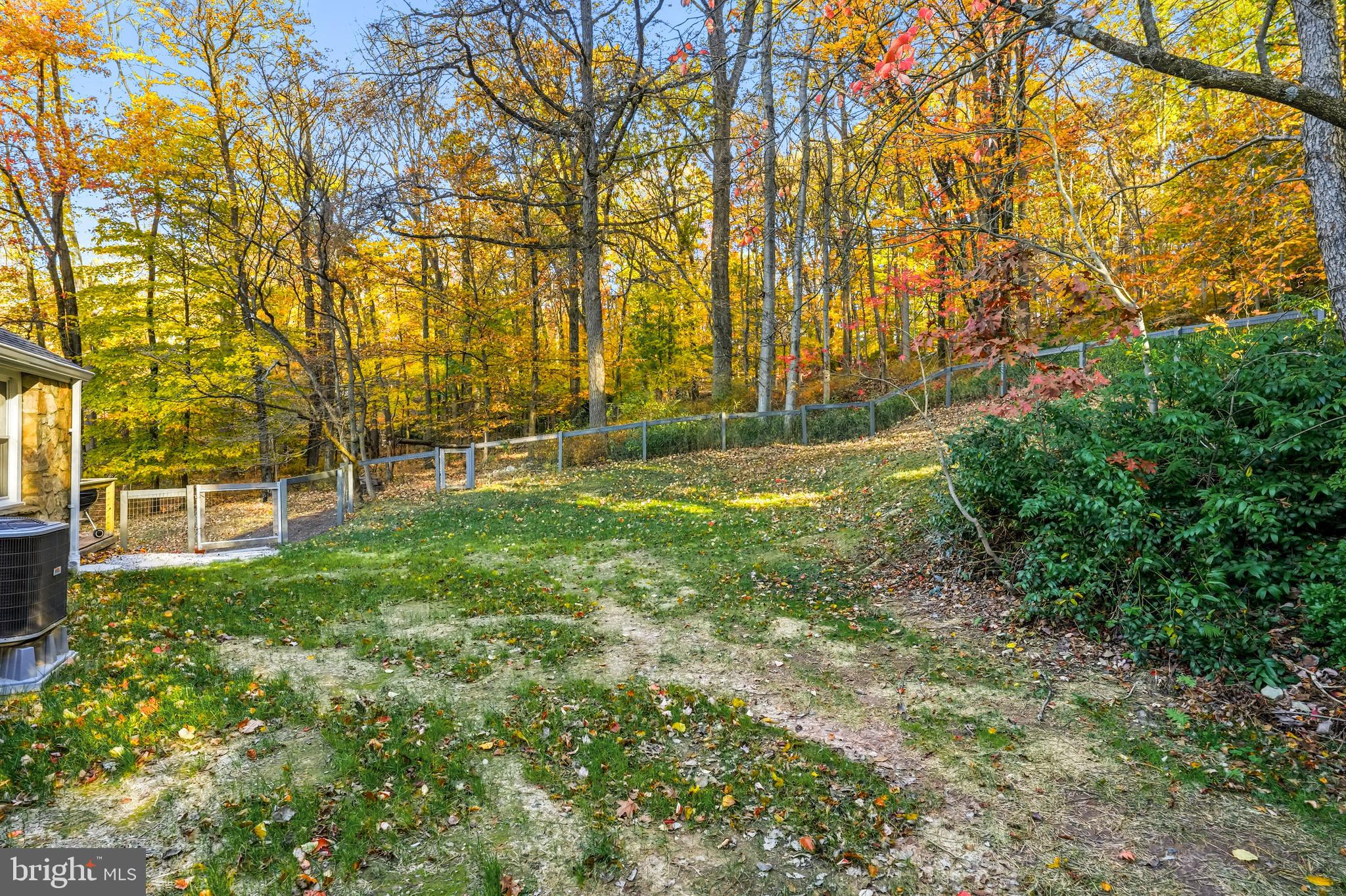 270 Jug Hollow Road Phoenixville, PA 19460 - Photo 52 of 59 a view of yard with green space