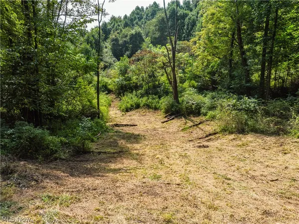 $288,260 | Luneman Road, Scio, OH 43988
