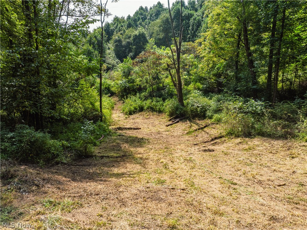 Luneman Road Scio, OH 43988 - Photo 1 of 48 Gallery Image 1