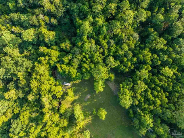 $969,000 | 4425 Dream Acres Road, Molino, FL 32577