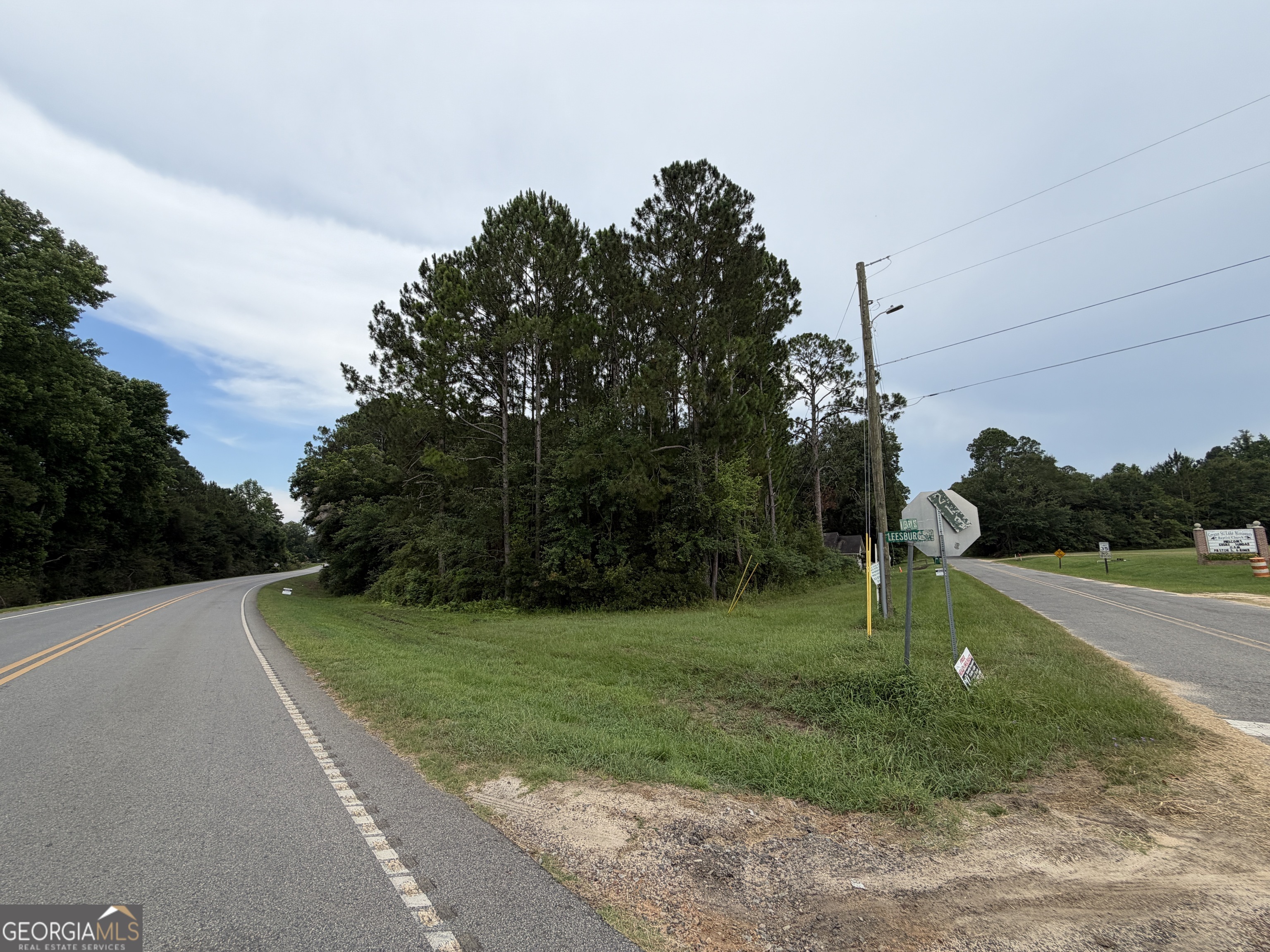 77-acre 77-acre Leary North Road Ashburn, GA 31714 - Photo 7 of 11