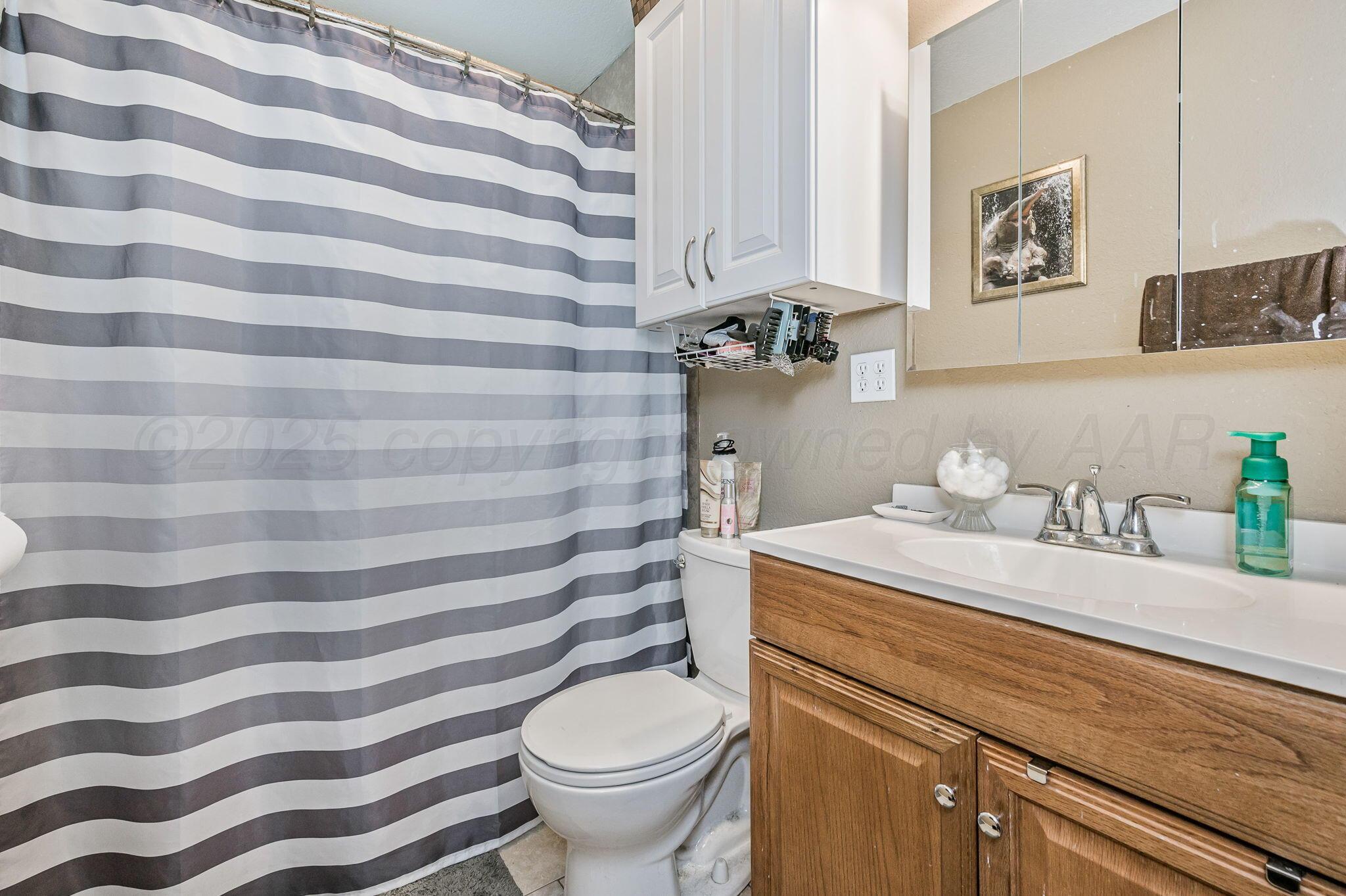 4114 South Hayden Street Amarillo, TX 79110 - Photo 10 of 18 a bathroom with a sink toilet and a mirror