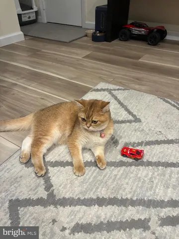 $264,900 | 3850 Woodhaven Road, Unit 708, Philadelphia, PA 19154