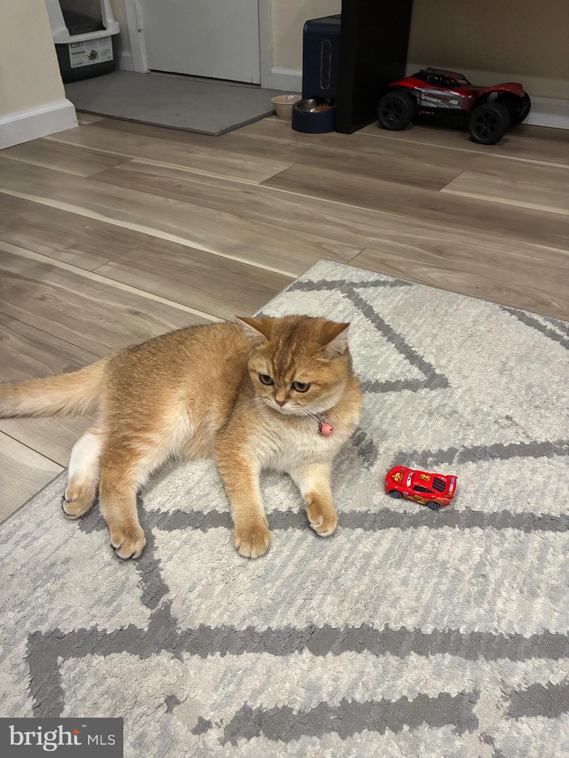 3850 Woodhaven Road, Unit 708 Philadelphia, PA 19154 - Photo 20 of 20