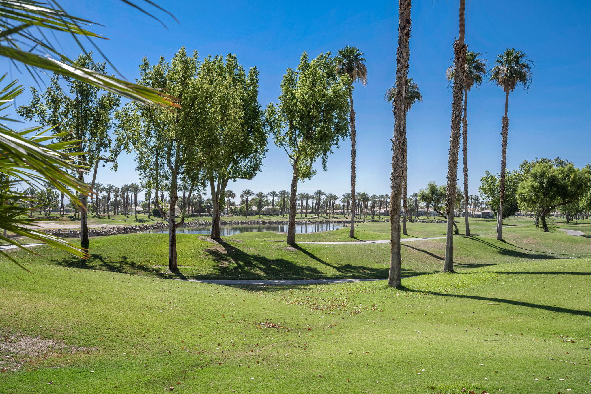 54340 Riviera La Quinta, CA 92253 - Photo 40 of 60 45-web-or-mls-JVRiviera0621_045