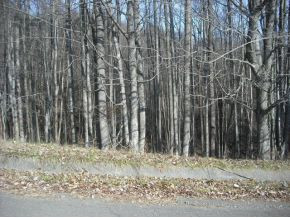 Tbd Litton Road, Unit 8 Abingdon, VA 24210 - Photo 1 of 1 Photo 1