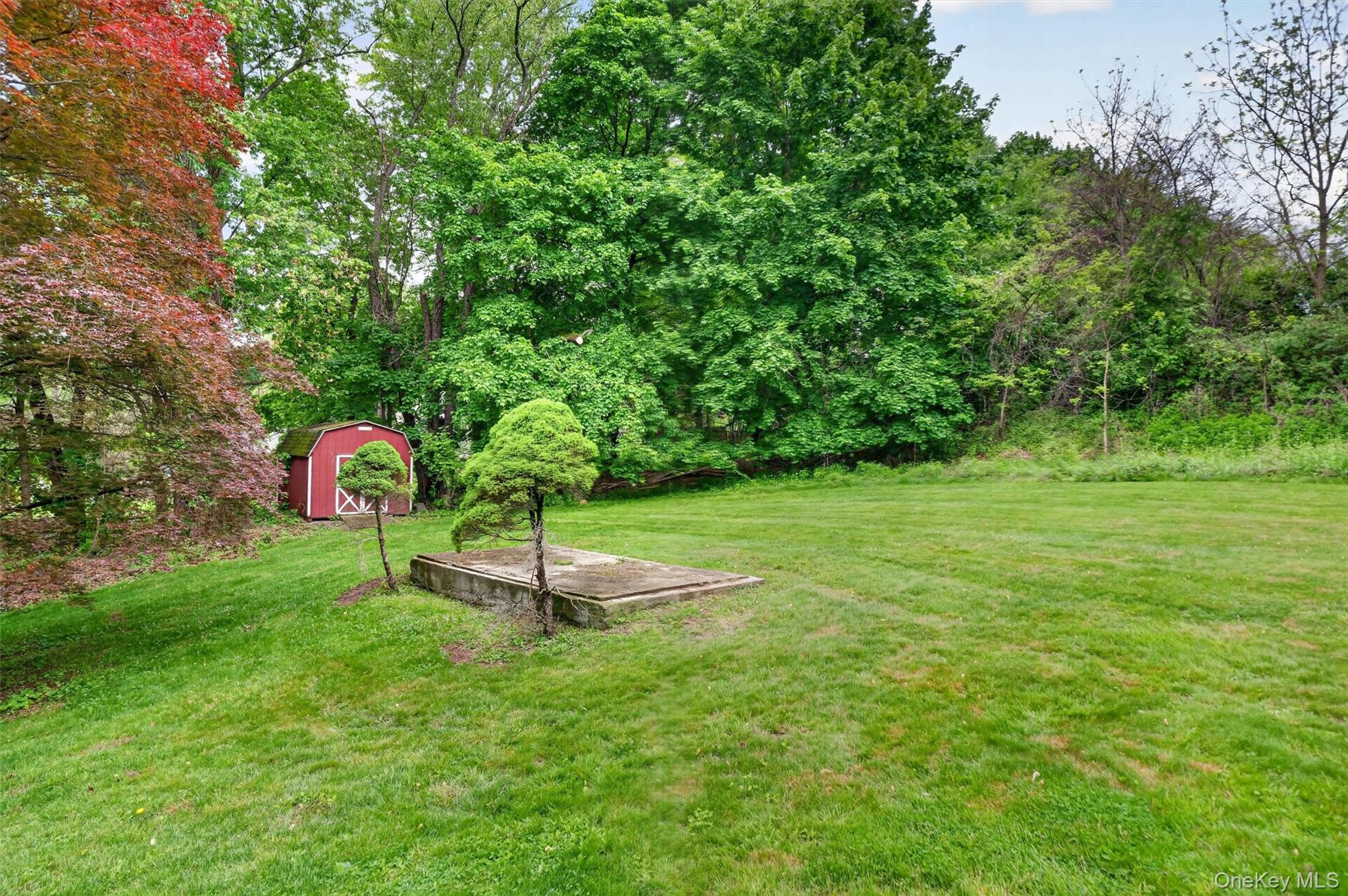 10 Edwin Road Poughkeepsie, NY 12603 - Photo 31 of 46 a green field with lots of bushes
