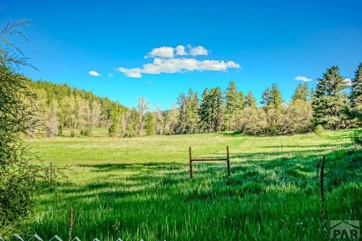 5207 Northcreek Road Beulah, CO 81023 - Photo 52 of 56