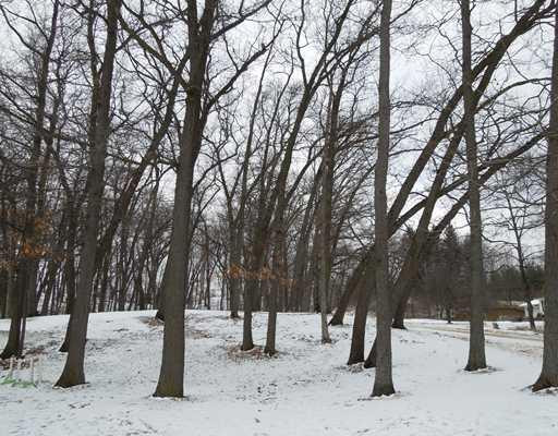 11742 West Ellsworth Road Chelsea, MI 48118 - Photo 11 of 23 Photo 11