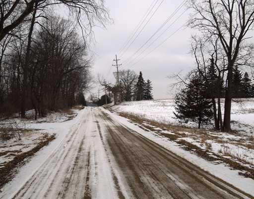 11742 West Ellsworth Road Chelsea, MI 48118 - Photo 14 of 23 Photo 14