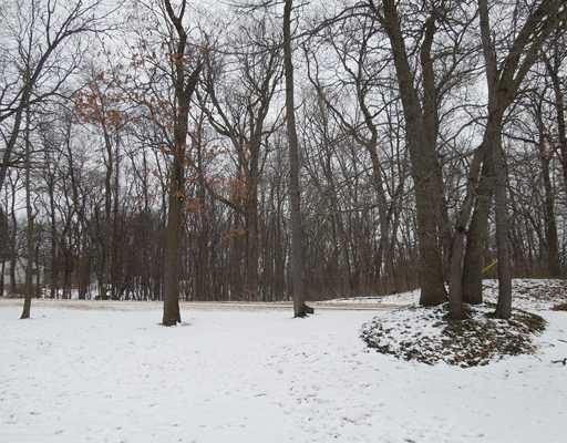 11742 West Ellsworth Road Chelsea, MI 48118 - Photo 10 of 23 Photo 10