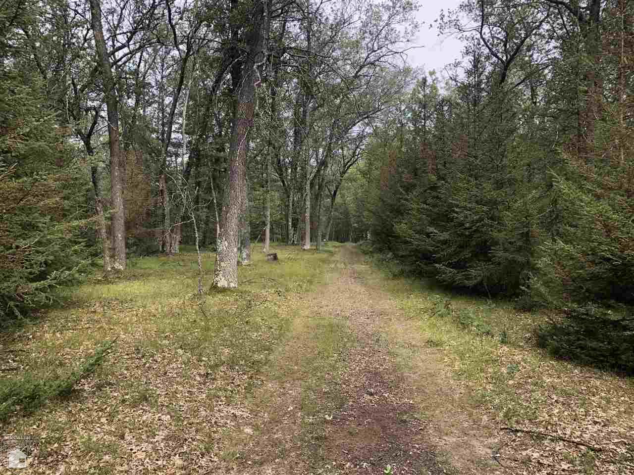 0 Carpenter Road Tawas City, MI 48748 - Photo 1 of 9