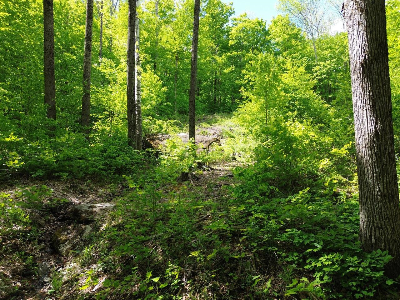 197 Sugar Ledge Road, Unit 4 Warren, VT 05674 - Photo 15 of 17