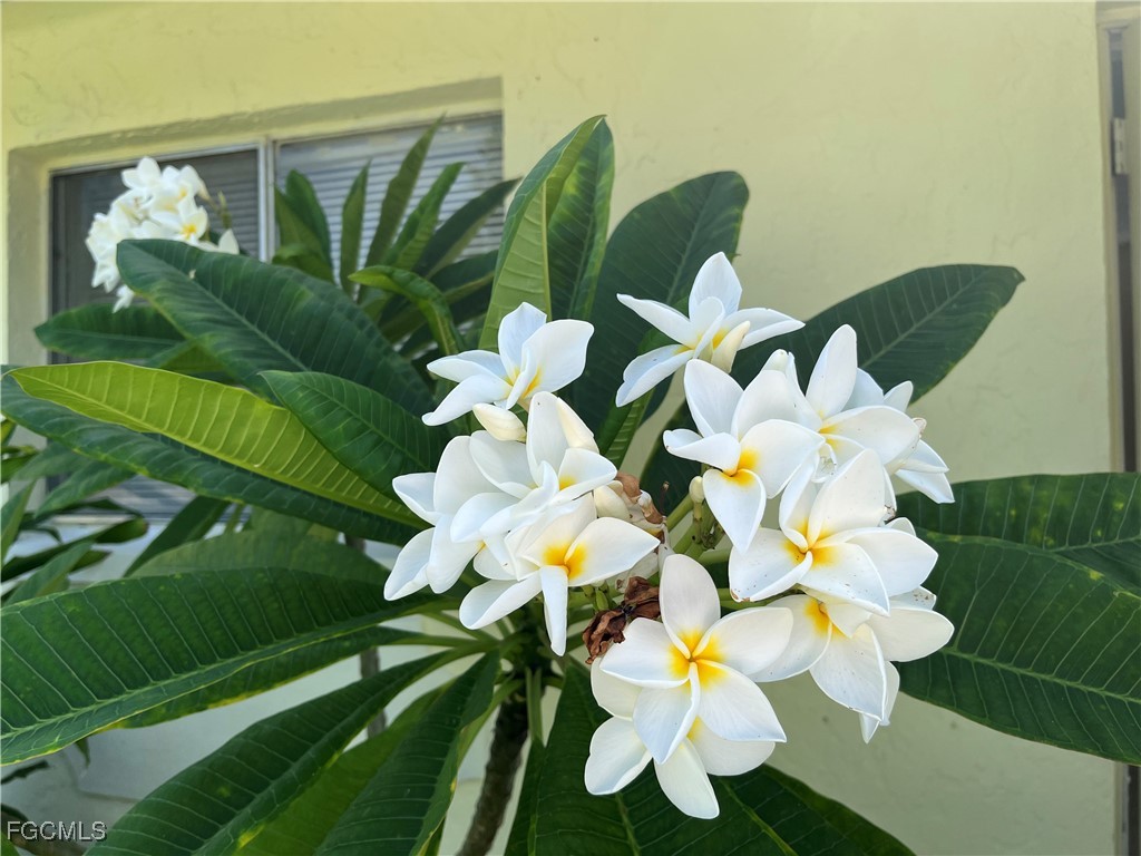 1275 Old Bridge Road North Fort Myers, FL 33917 - Photo 48 of 48