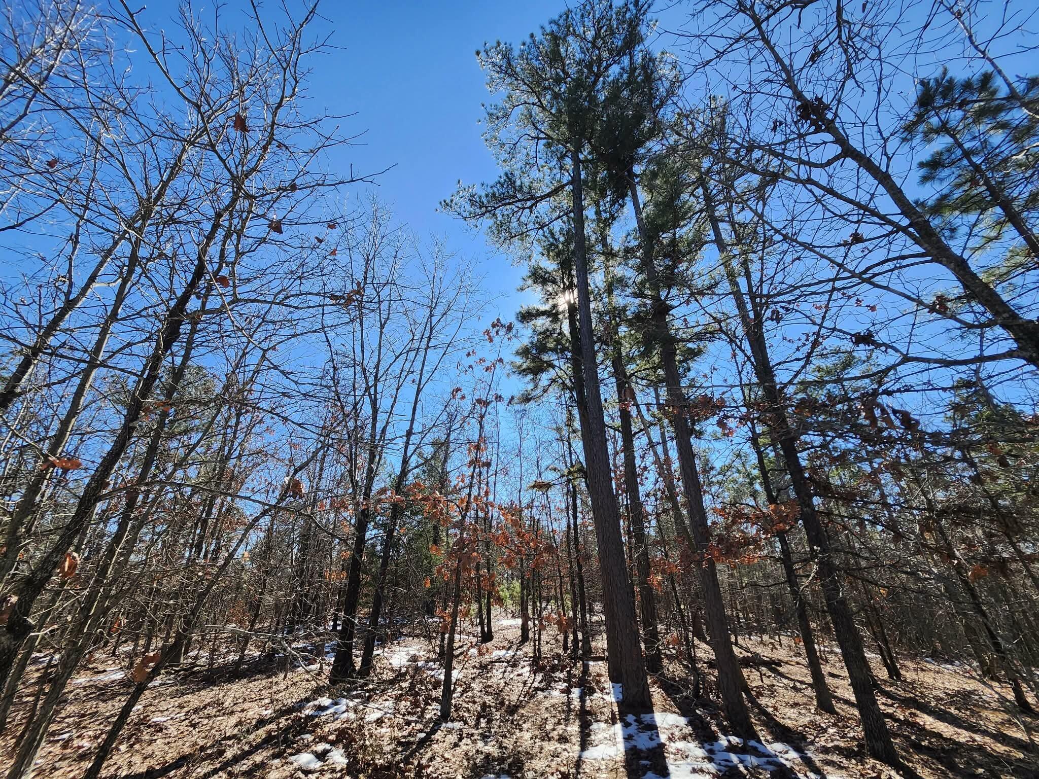 0 Sargent Road Cabool, MO 65689 - Photo 10 of 11 28d4a25f-1903-453e-aab6-b2f25bec2d6c