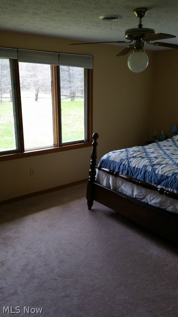 12012 Stanley Road Vermilion, OH 44089 - Photo 15 of 20