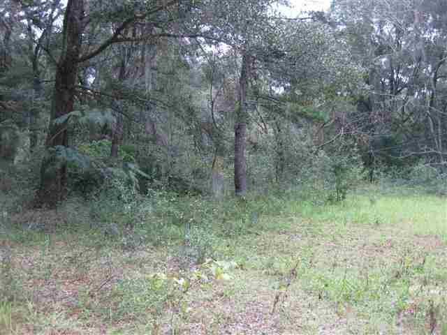 3513 Robin Road Tallahassee, FL 32305 - Photo 3 of 3 Gallery Image 3