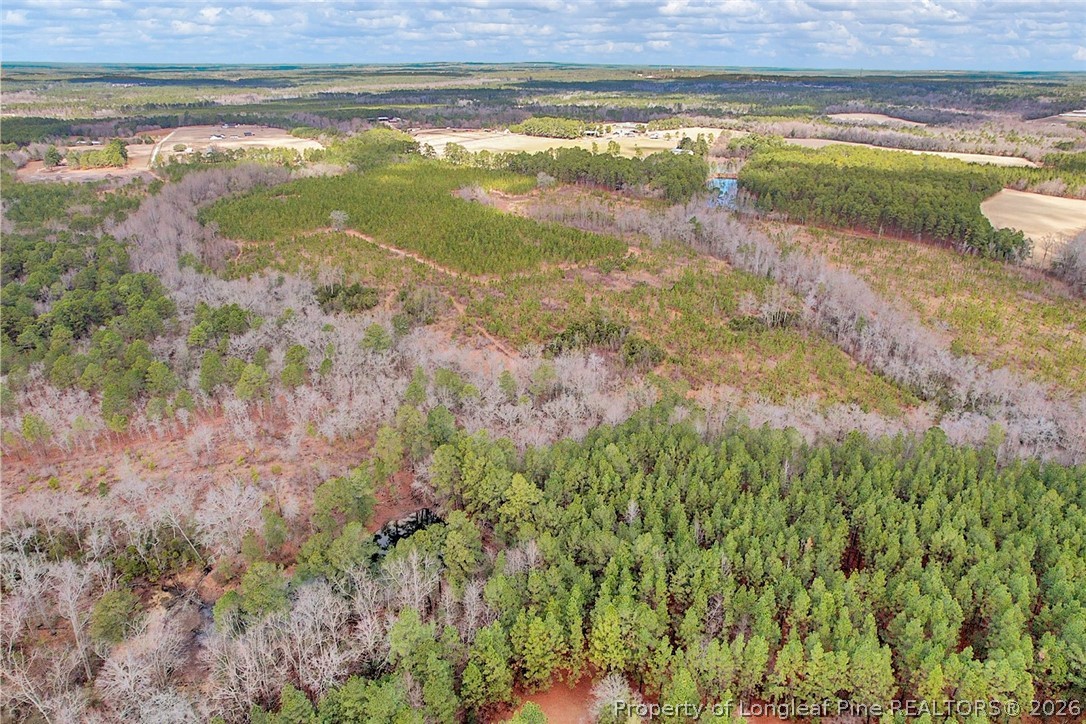 Tbd Tbd Montrose (lot 8) Road Raeford, NC 28376 - Photo 3 of 9