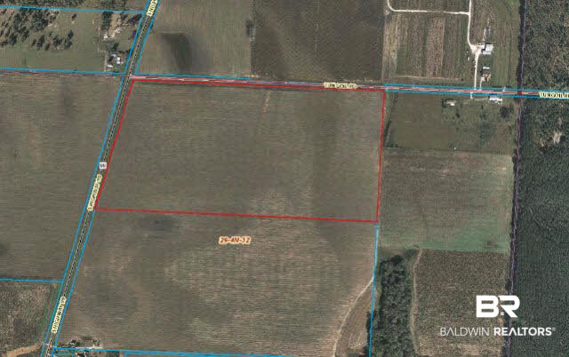 0 Tungoil Road Florala, AL 36442 - Photo 1 of 1