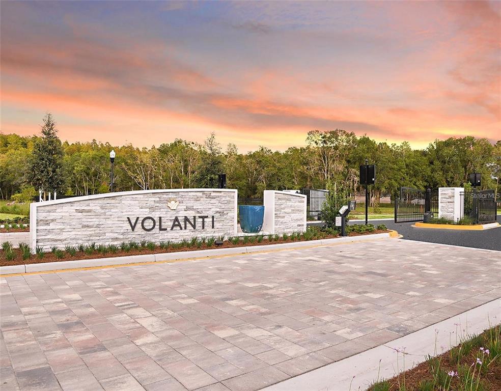 4282 Cloud Hopper Way Lutz, FL 33559 - Photo 38 of 44