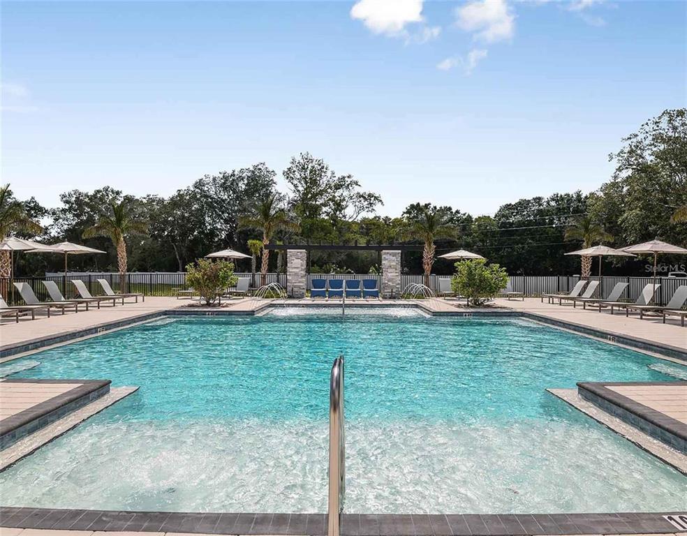 4282 Cloud Hopper Way Lutz, FL 33559 - Photo 40 of 44