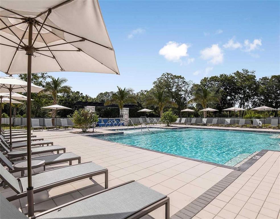 4282 Cloud Hopper Way Lutz, FL 33559 - Photo 41 of 44