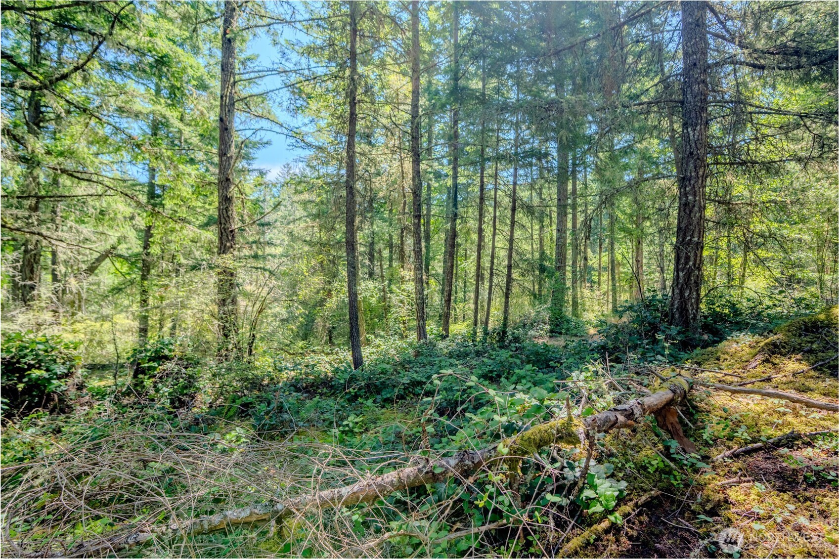 678 Swan Road Orcas Island, WA 98245 - Photo 30 of 39