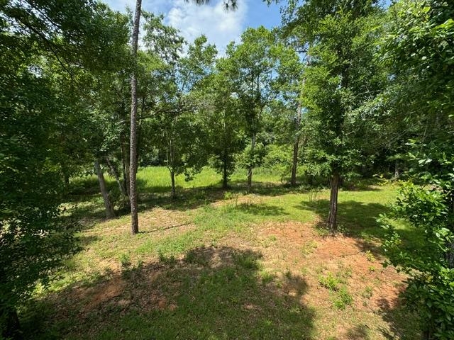 32807 North Pickens Avenue Lillian, AL 36549 - Photo 48 of 49 BACK YArD