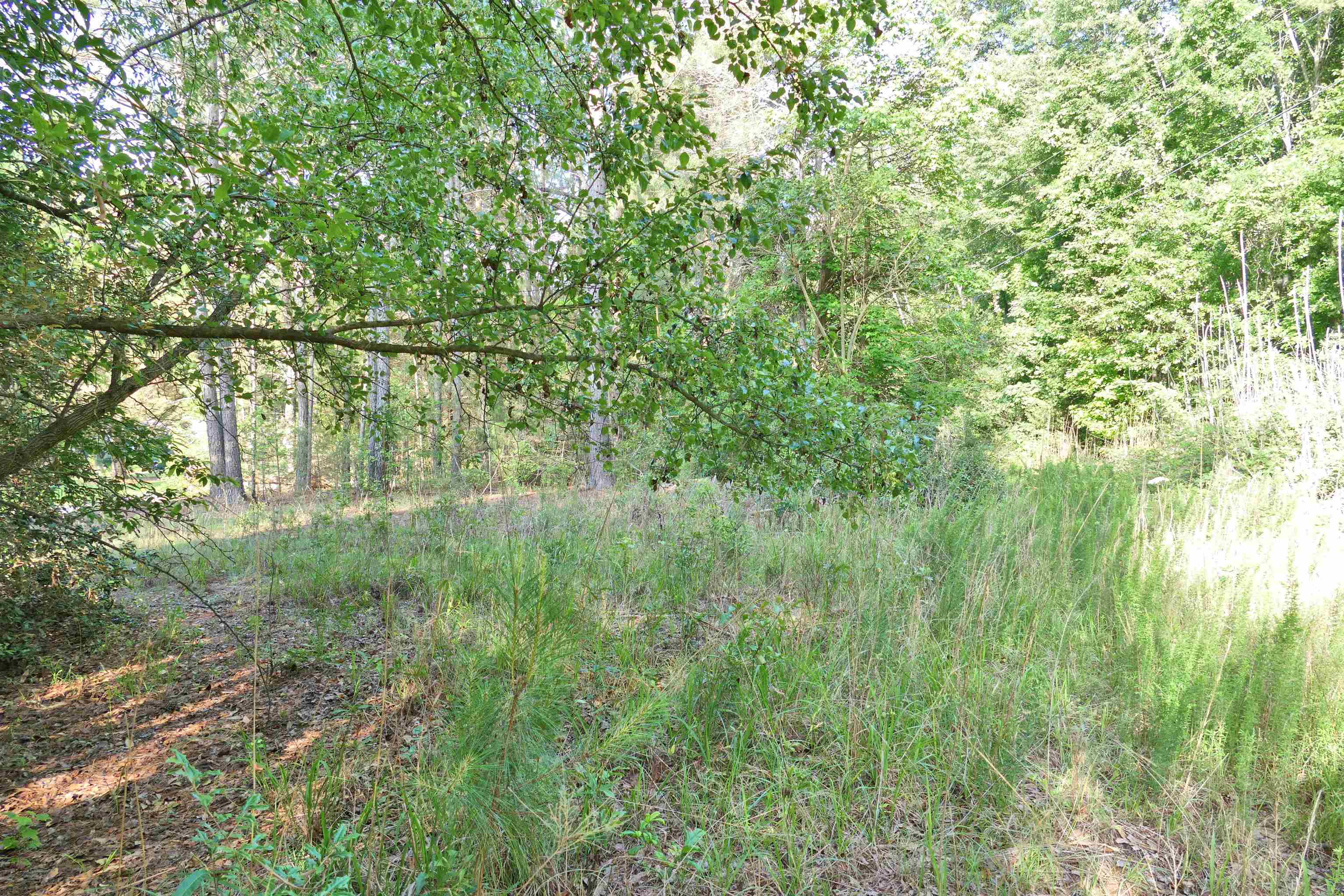 221 Coyl Road Gaffney, SC 29340 - Photo 7 of 12