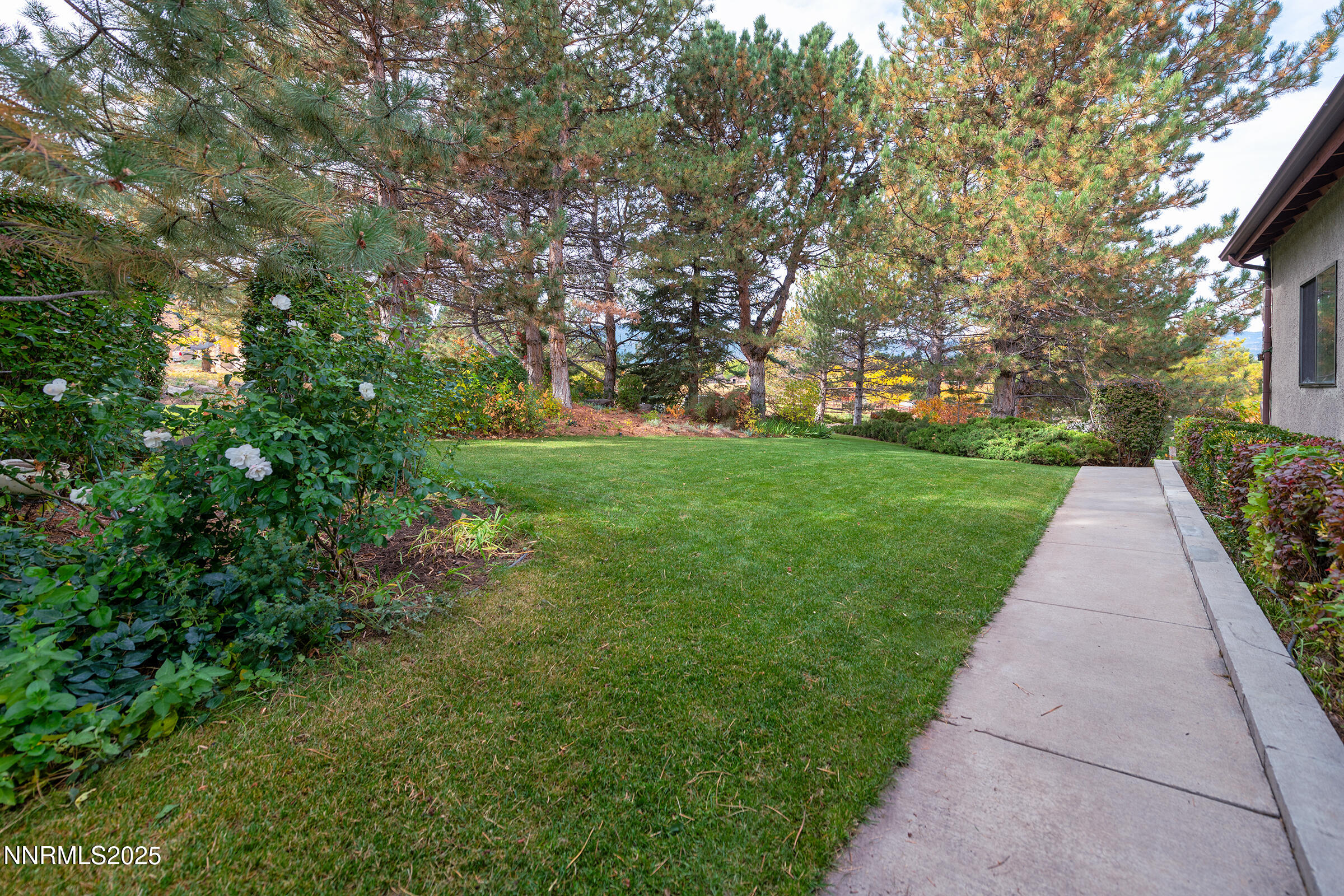 2780 Mario Road Reno, NV 89523 - Photo 5 of 41 a view of a pathway with a tree in the background