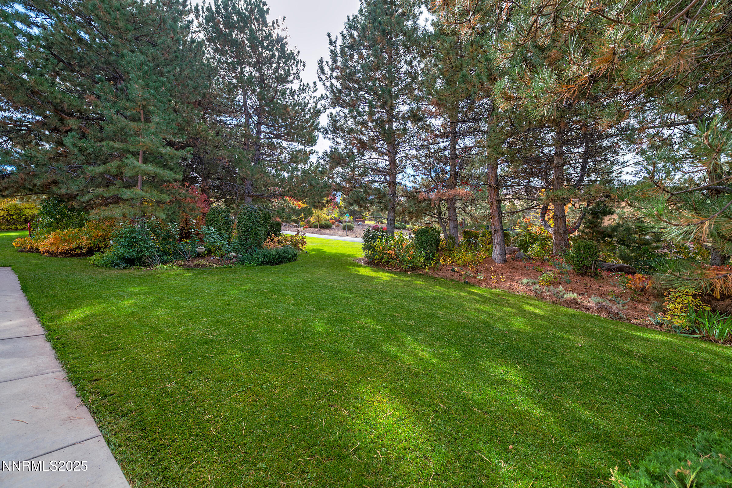2780 Mario Road Reno, NV 89523 - Photo 6 of 41 a view of a garden with a tree