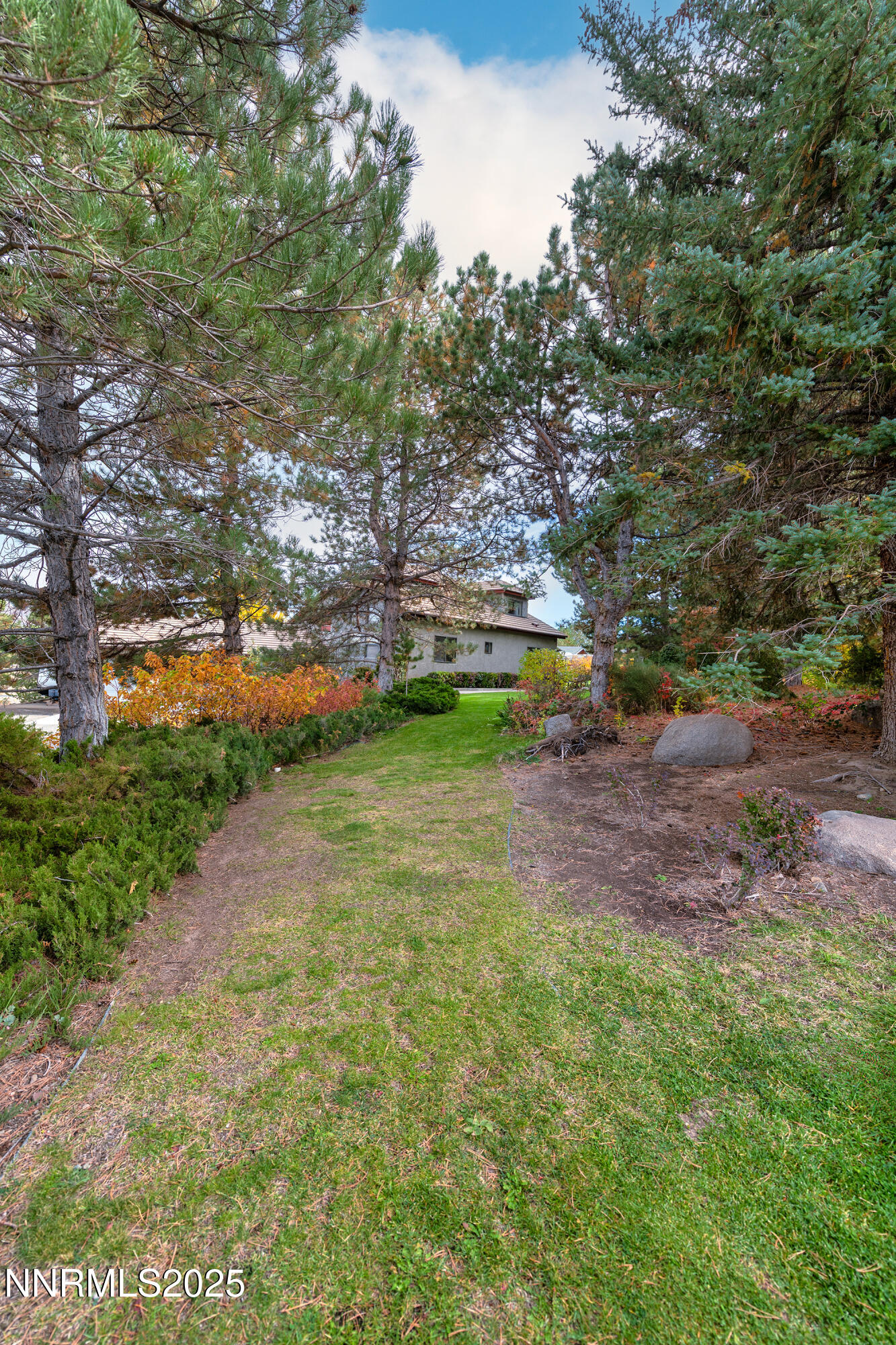 2780 Mario Road Reno, NV 89523 - Photo 7 of 41 a view of yard with green space