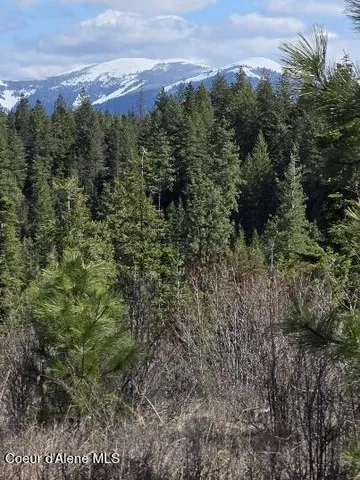 $129,000 | 8.3 St Maries Id 83861, St. Maries, ID 83861