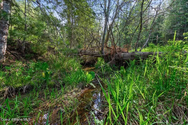 $129,000 | 8.3 St Maries Id 83861, St. Maries, ID 83861