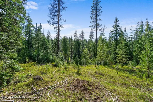 $129,000 | 8.3 St Maries Id 83861, St. Maries, ID 83861