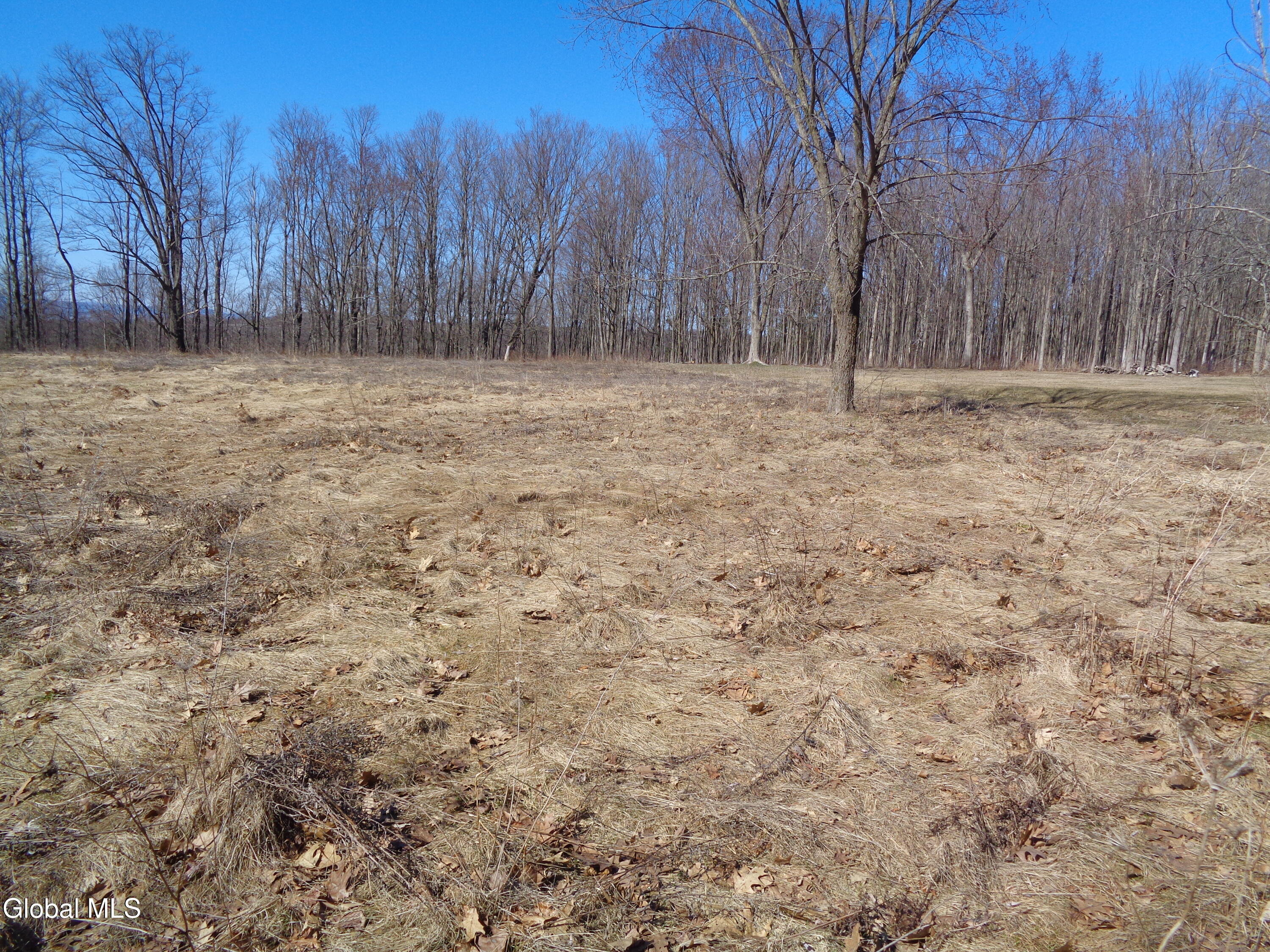 L1.1 Lawson Road Pattersonville, NY 12137 - Photo 1 of 11 DSC02741